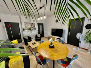 Très grand appartement à 10 min à pied du centre, Castres